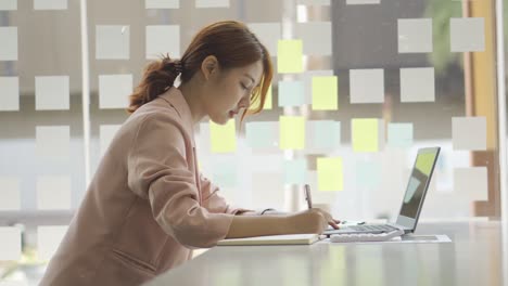 a young woman working with a laptop in a coffee shop business idea financial girl accountant