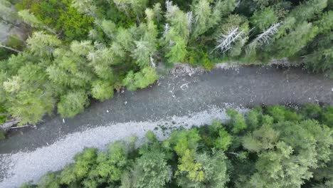 Vuelo-Con-Drones-Sobre-El-Río-Stillaguamish,-En-Verlot-Washington