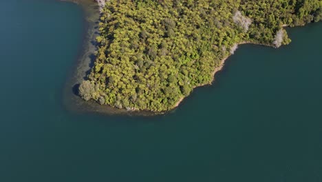 vista aérea de ángulo alto de una península con numerosas palmeras nikau