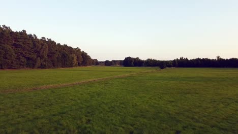 great aerial drone flight fly backwards drone shot over farmland creek
in nature reserve müritz seen park mecklenburg brandenburg germany aerial drone view