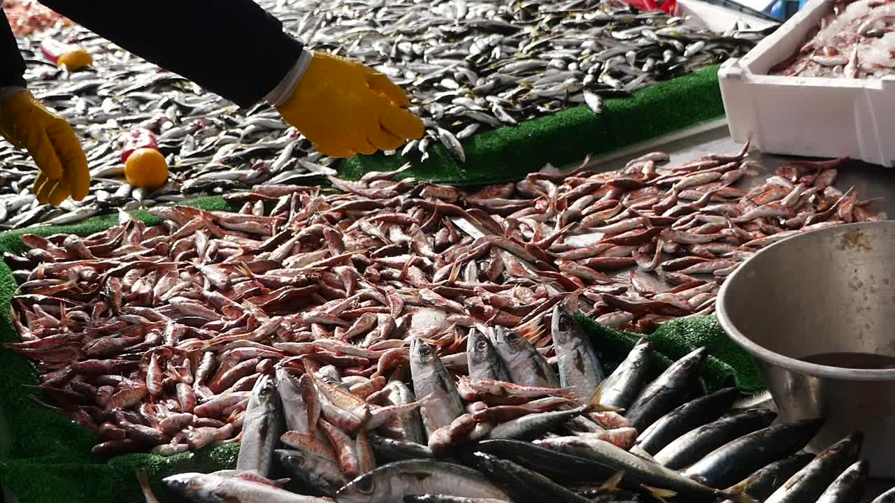 Vendedor clasificando pescado fresco en un puesto de mercado tradicional.
