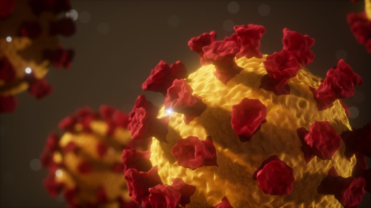 el virus de la corona covid 19 es un modelo macro