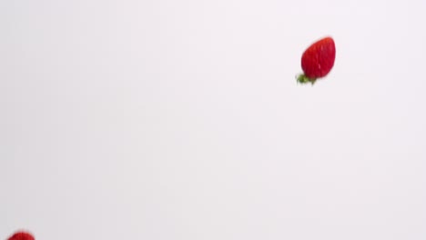 Bright-red-whole-strawberries-raining-down-on-white-backdrop-in-slow-motion