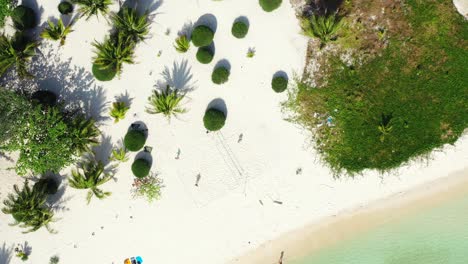 Beautiful-garden-of-holiday-resort-with-tropical-plants-and-palms-on-white-sandy-beach-washed-by-calm-turquoise-lagoon,-Myanmar