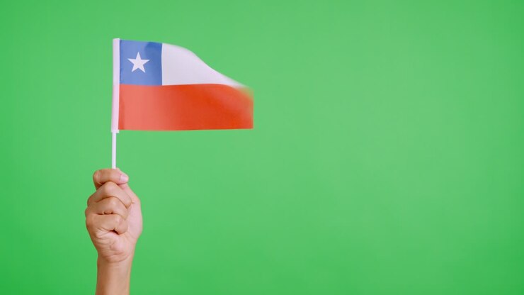 Wind waving a chilean pennant holding by a hand