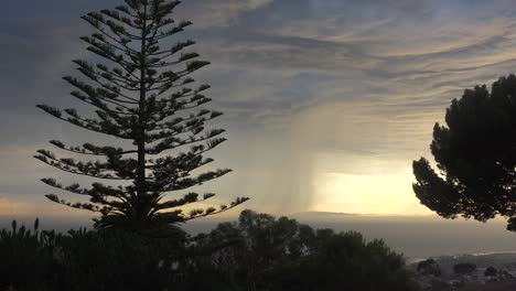 Cae-Un-Rayo-Frente-A-La-Costa-De-California-Durante-Una-Tormenta-Eléctrica-Con-Un-Pino-Norfolk-En-Primer-Plano