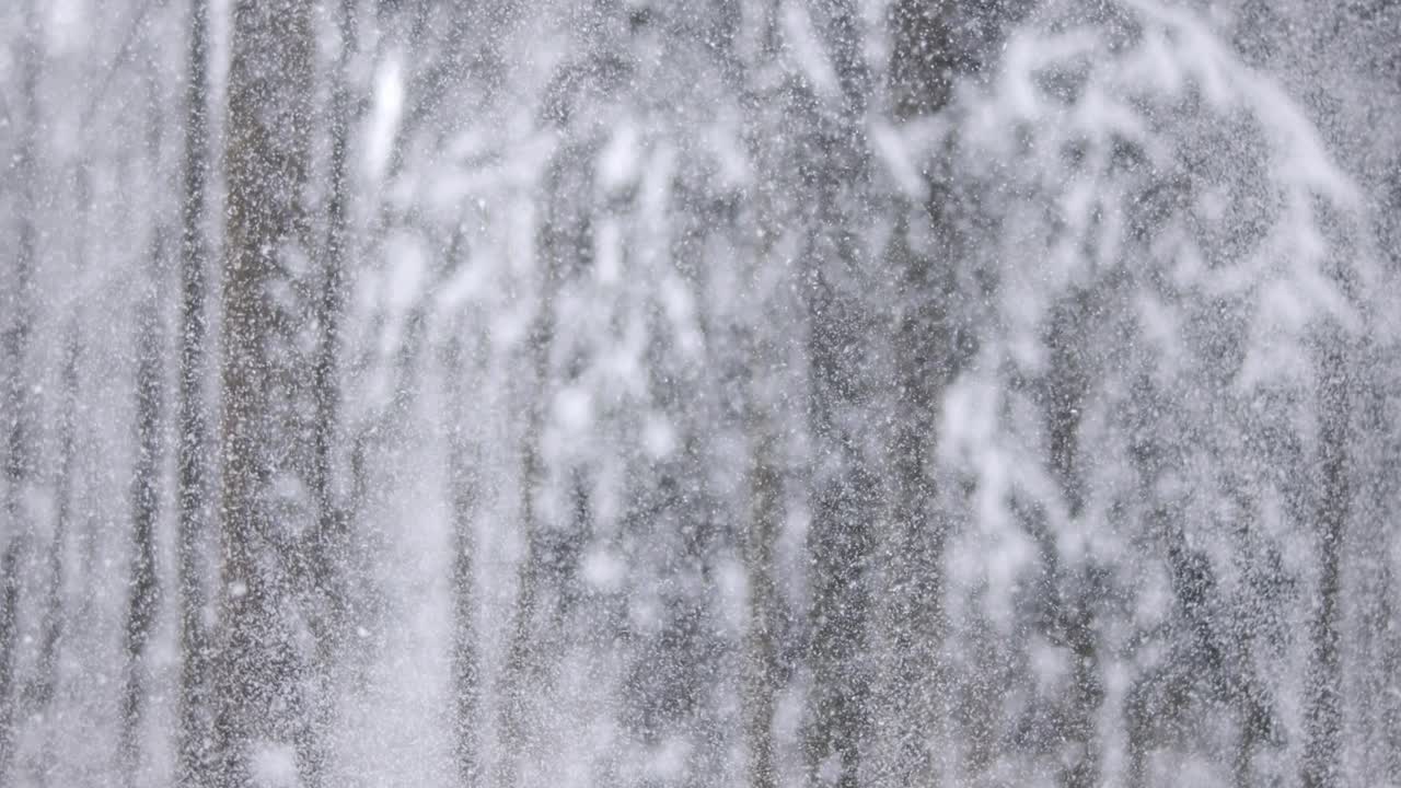 paisaje de invierno durante las nevadas. fondo abstracto de navidad de invierno en súper cámara lenta.