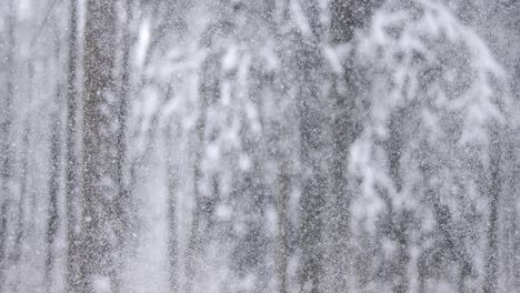 Winterlandschaft-Bei-Schneefall.-Abstrakter-Hintergrund-Für-Winterweihnachten-In-Superzeitlupe.