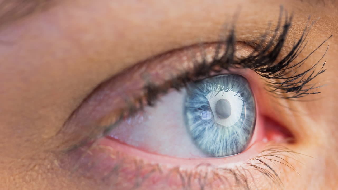 primer plano de un ojo gris femenino contra un fondo blanco