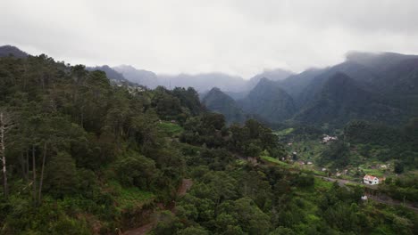 drone view madeira forest after rain, portugal island