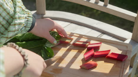 organic food preparation: woman cutting rhubarb in slow motion