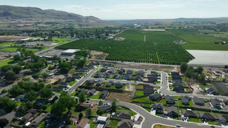 overhead aerial view of benton city's suburbs in eastern washington