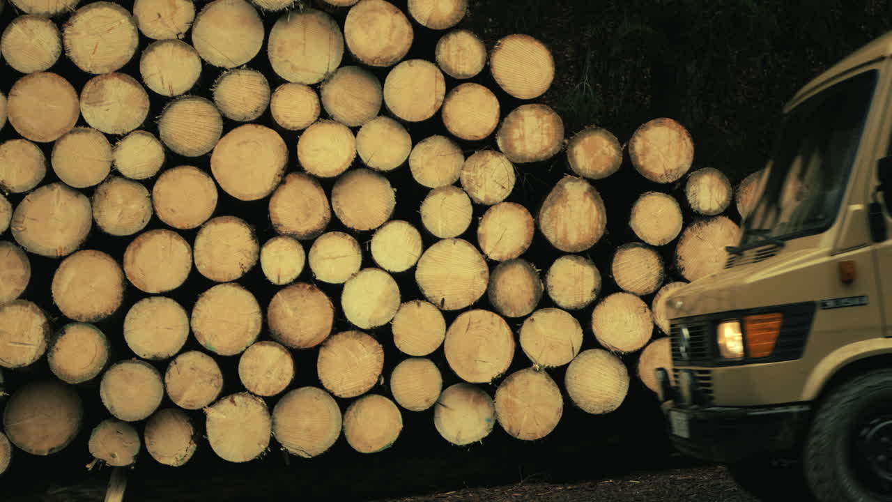 Camper Van Driving Through a Forest with Logs