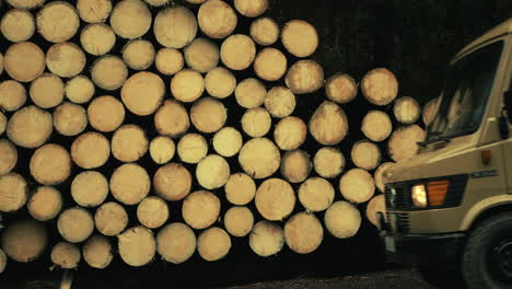 camper van driving through a forest with logs