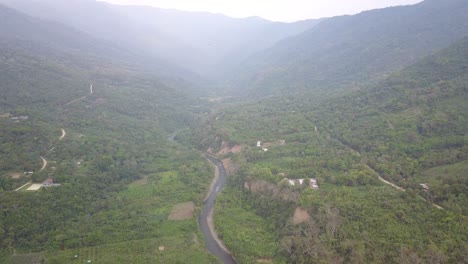 plantación de café en la selva montañosa boliviana