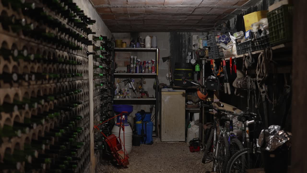 A well-organized basement with wine cellar and storage