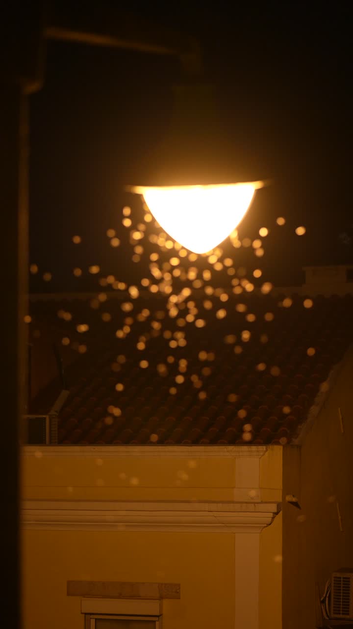 Night Street Light with Swarming Insects and Bokeh