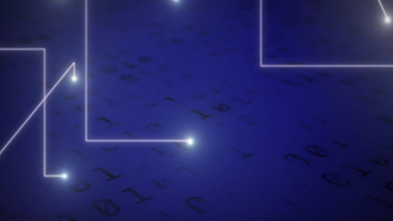 백색 선의 애니메이션과 인터페이스의 데이터 처리