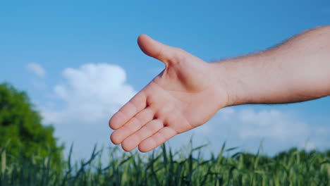 two male farmers shake hands against the background of a green field and a blue sky deal in agribusi