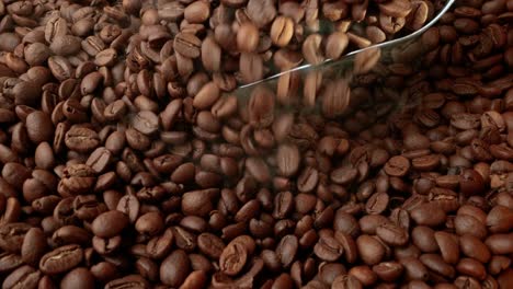 close up of seeds of coffee. fragrant coffee beans are roasted smoke comes from coffee beans.