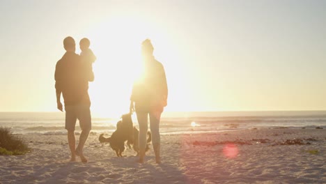 Familia-Con-Sus-Perros-Divirtiéndose-En-La-Playa-4k