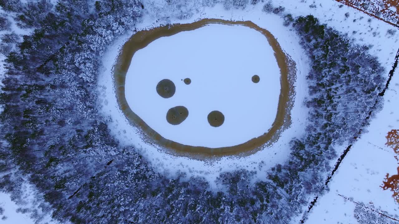 Peat islands dot the icy surface of Medema lake, frosted bog forest in Latvia