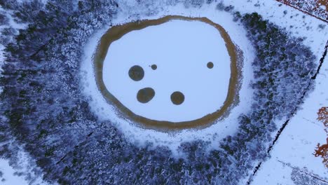 peat islands dot the icy surface of medema lake, frosted bog forest in latvia