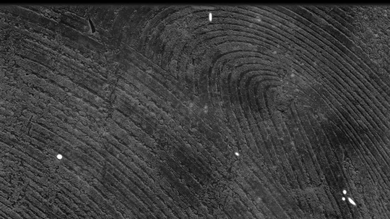 animación de un marco de película deslizante que se mueve sobre un patrón de grano de madera cambiante, en blanco y negro