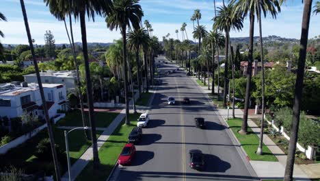 an idyllic residential street in beverly hills lined with palm trees on a clear day - overhead view