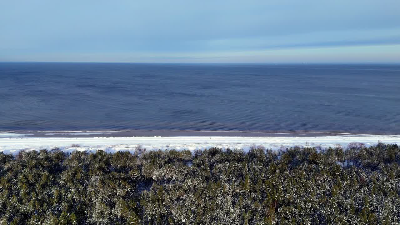 vista aérea de un denso bosque de hoja perenne con ramas cubiertas de nieve alineadas con un océano azul brillante, posiblemente en alguna parte de una región fría y remota con inviernos nevados cerca de la costa