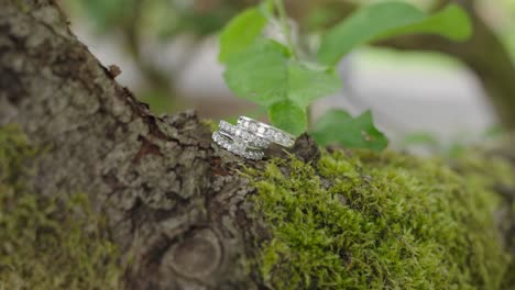 Beautiful-wedding-rings-on-moss-and-bark