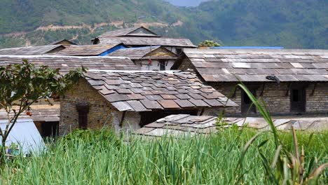 wooden tiled homes with brick siding, ramshackle behind grassy hill, nepal