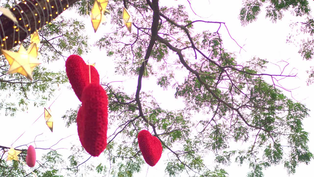 красные сердца, висящие на дереве с большим количеством бумажных звезд и огней, мерцающих ночью.