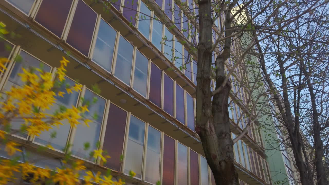 Una ripresa professionale in movimento percorre una strada di Budapest, mostrando un edificio con una facciata unica di finestre marroni e blu. Fiori primaverili giallo brillante.