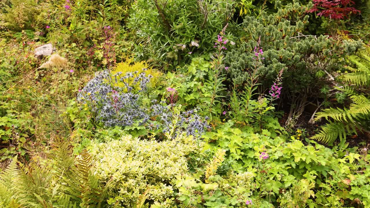 Vibrant garden with diverse plants and flowers