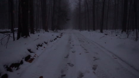 Pasos-En-La-Nieve-En-Un-Bosque-Oscuro-Y-Aterrador