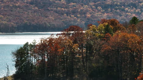 Naturaleza-Del-Color-Del-Otoño-En-El-Parque-Estatal-Lake-Fort-Smith-En-Arkansas,-Estados-Unidos