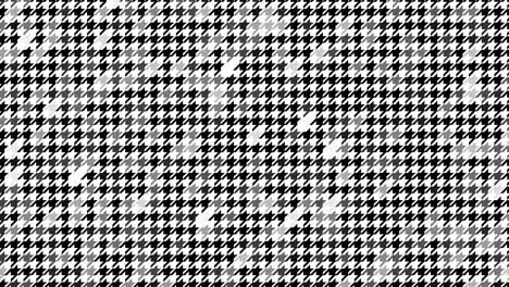 abstract large houndstooth texture background loop