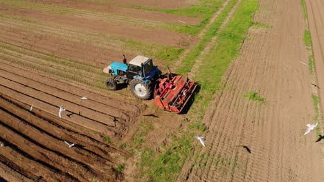 Agricultural-work-on-a-tractor-farmer-sows-grain.-Hungry-birds-are-flying-behind-the-tractor,-and-eat-grain-from-the-arable-land.