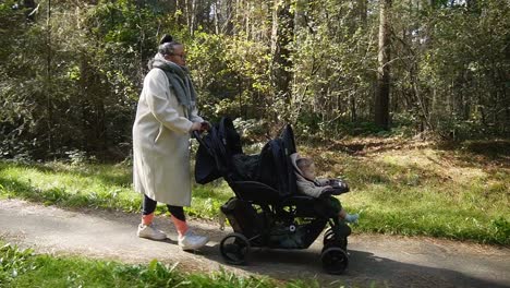 mom walking baby in stroller through forest path