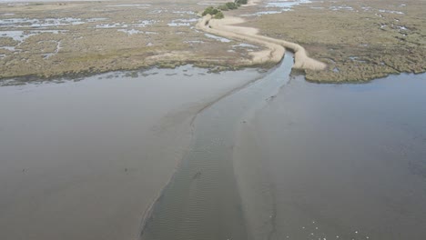 siguiendo un río lleno de vida salvaje volando