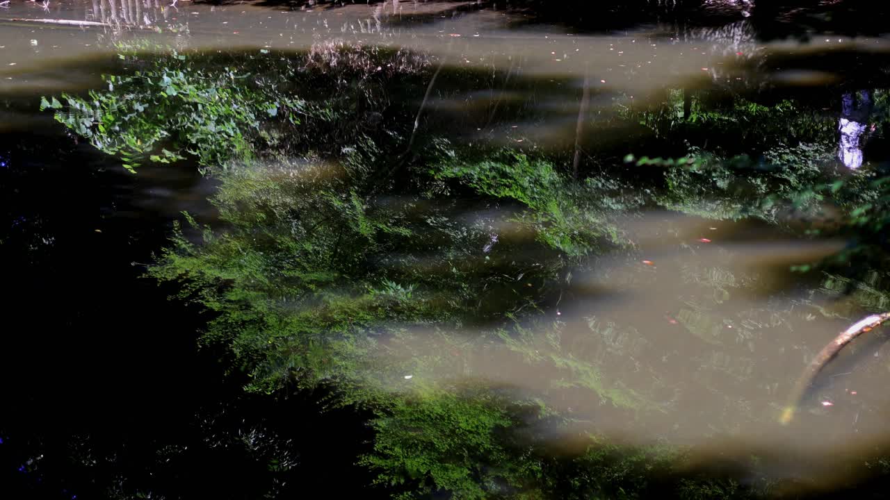 la hermosa vista en los jardines de rikugien