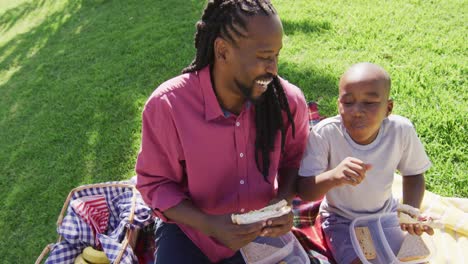 Video-Eines-Glücklichen-Afroamerikanischen-Vaters-Und-Sohnes-Beim-Picknick-Im-Freien-An-Einem-Sonnigen-Tag