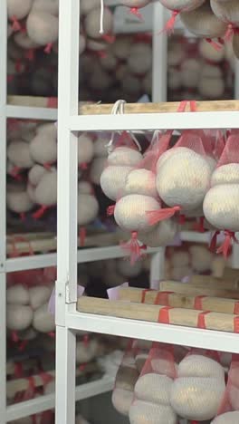 cheese drying and storage facility