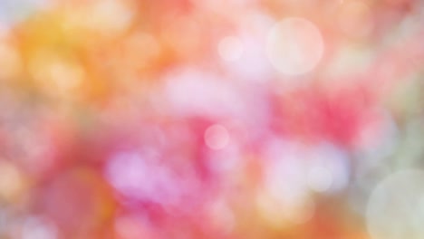 Abstract spring background with bokeh