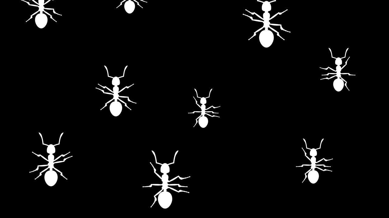 개미들이 달려오고