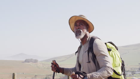 senior african american man hiking with trekking poles on sunny day, slow motion