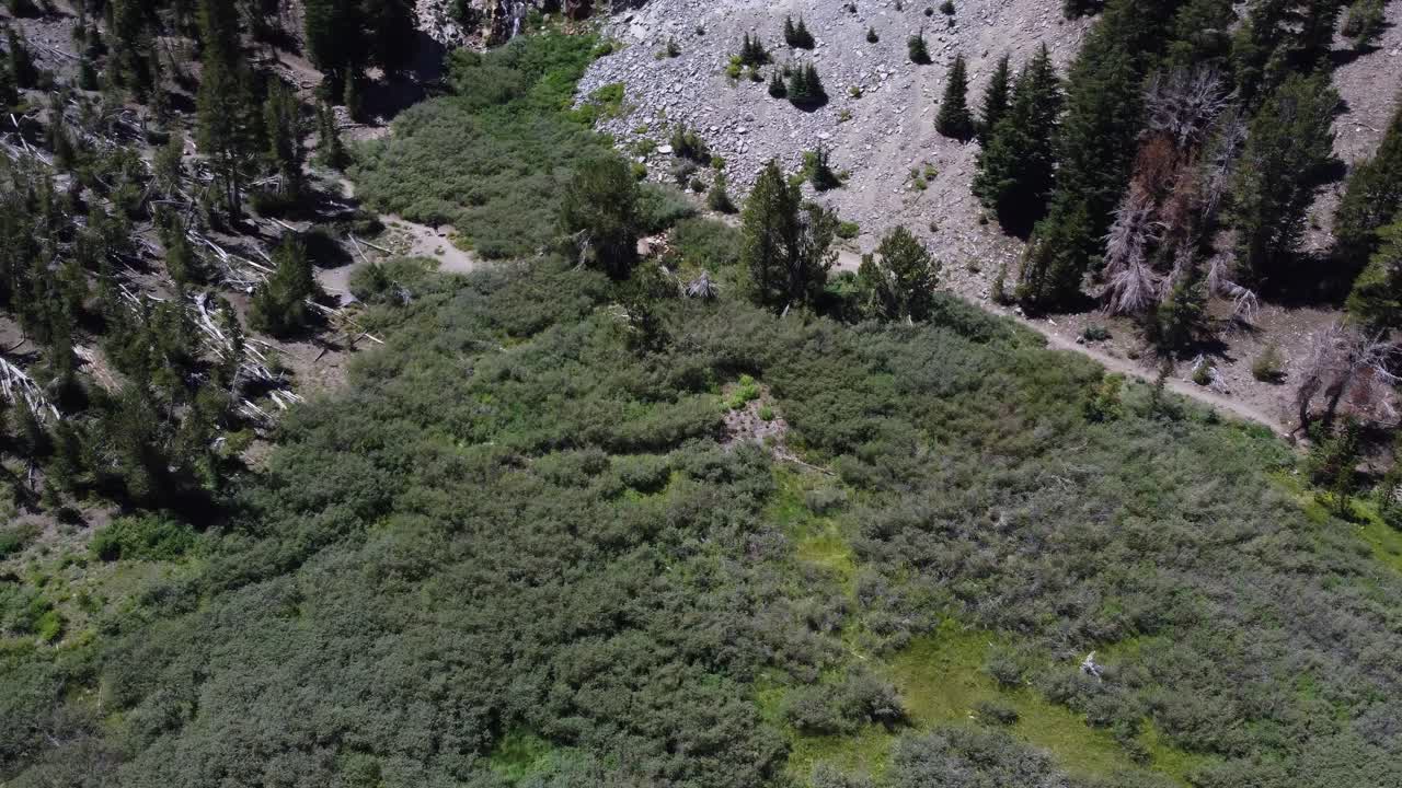 toma aérea de un parche verde en la ladera de una montaña mientras un excursionista camina hacia el bosque