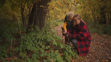 Frau-Mit-Ihrem-Kind-Geht-Im-Wald-Spazieren-Und-Fotografiert-Pflanzen-Mit-Der-Smartphone-Kamera-Erinnerungen-An-Ein-Glückliches-Familienwochenende-Junge-Mutter-Und-Kleiner-Sohn