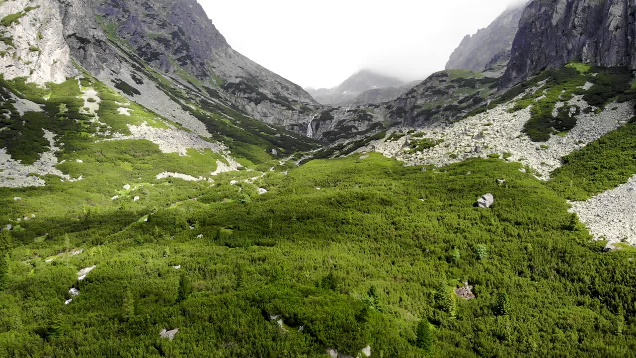 VISTA AEREA: Mostrando due montagne nebbiose vicino a una pineta